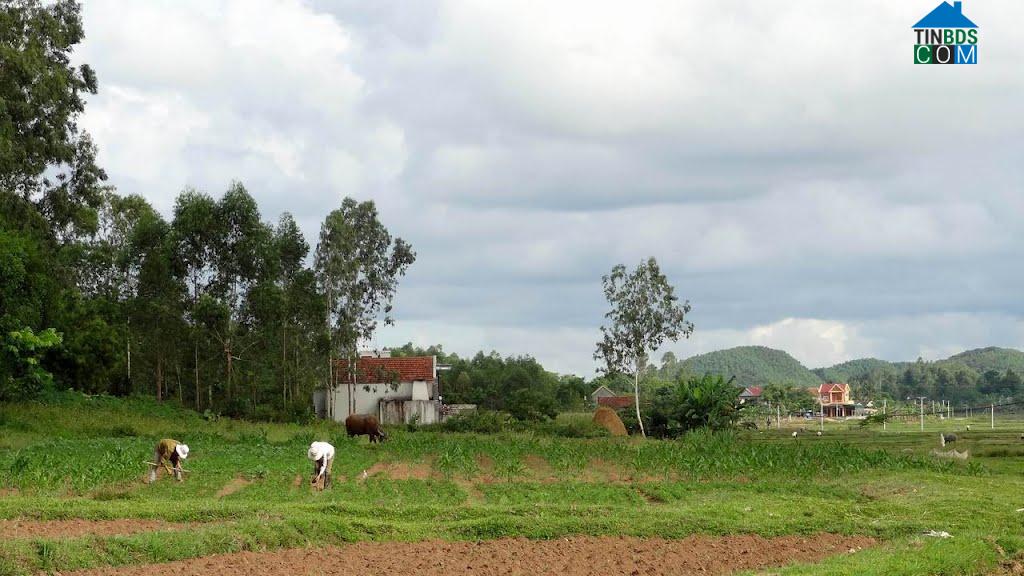 Hình ảnh Quỳnh Tam, Nghệ An