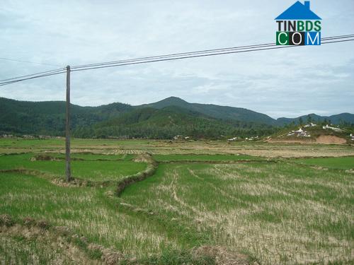 Hình ảnh Thần Lĩnh, Nghệ An