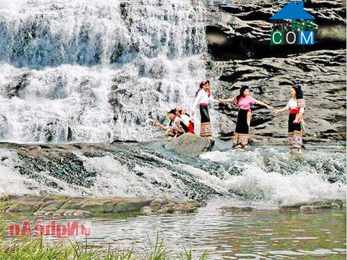 Hình ảnh Tiền Phong, Nghệ An