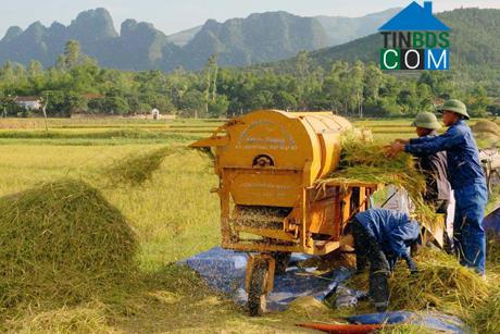 Hình ảnh Quỳnh Sơn, Nghệ An