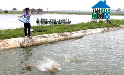 Hình ảnh Đại Hoàng, Ninh Bình