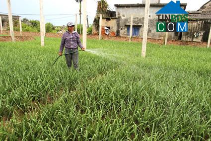 Hình ảnh Định Hóa, Ninh Bình