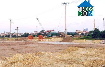 Hình ảnh Đông Hoa Lư, Ninh Bình