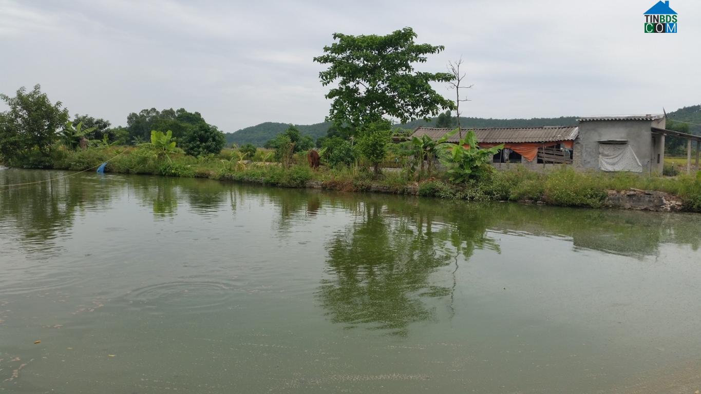 Hình ảnh Gia Viễn, Ninh Bình