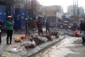 Hình ảnh Giao Phúc, Ninh Bình