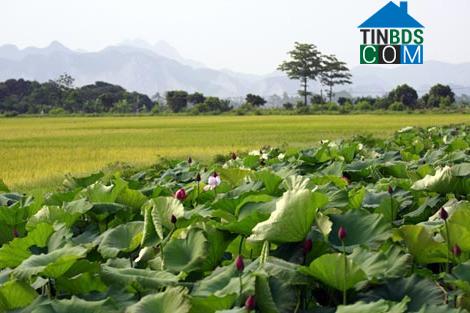 Hình ảnh Tân Thanh, Ninh Bình