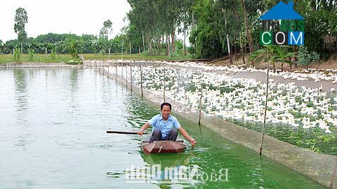 Hình ảnh Minh Tân, Ninh Bình