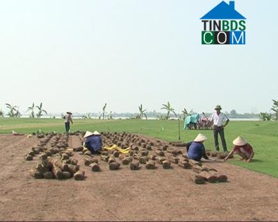 Hình ảnh Nam Hồng, Ninh Bình