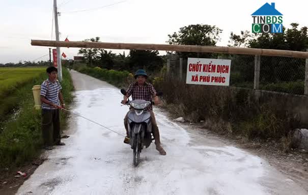 Hình ảnh Nam Lý, Ninh Bình