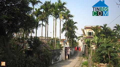 Hình ảnh Nam Ninh, Ninh Bình