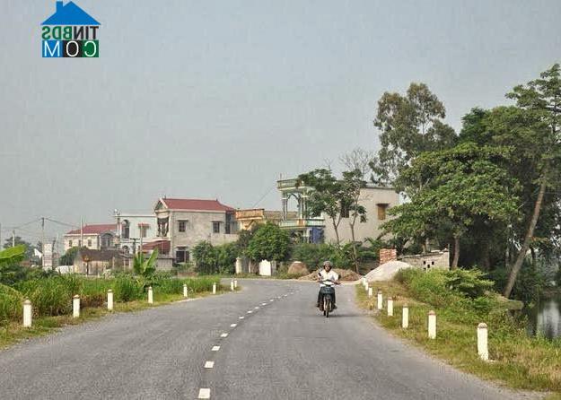 Hình ảnh Nguyễn Úy, Ninh Bình