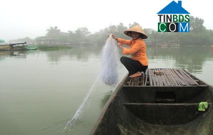 Hình ảnh Thanh Sơn, Ninh Bình