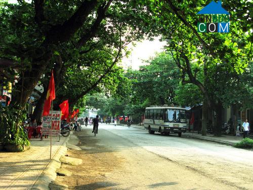 Hình ảnh Trung Sơn, Ninh Bình