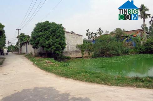 Hình ảnh Vĩnh Trụ, Ninh Bình