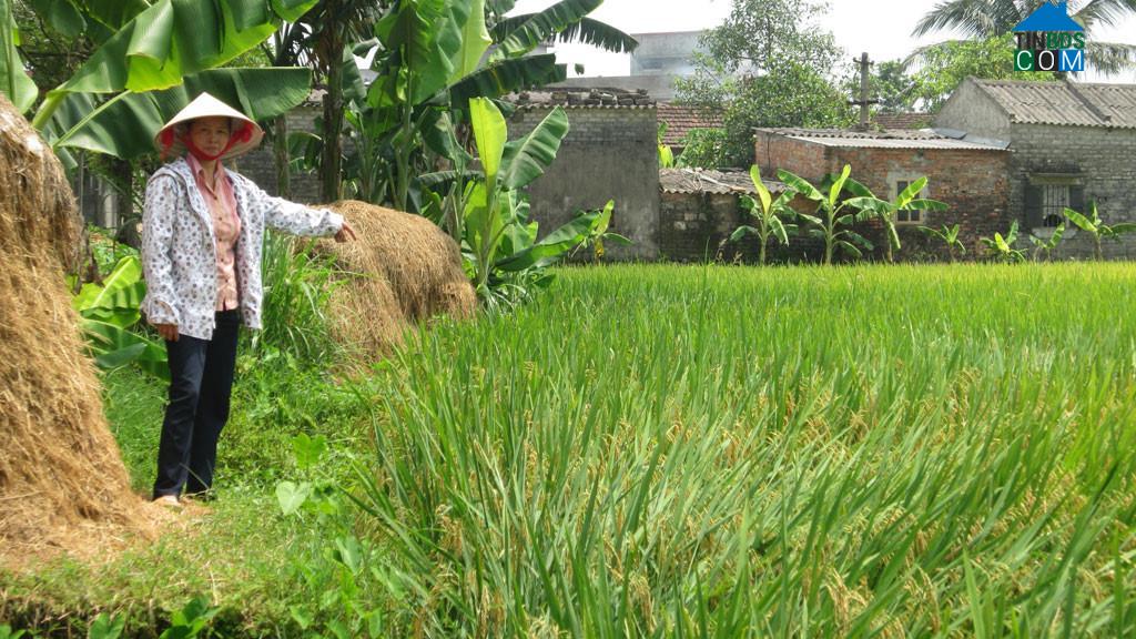 Hình ảnh Vũ Dương, Ninh Bình