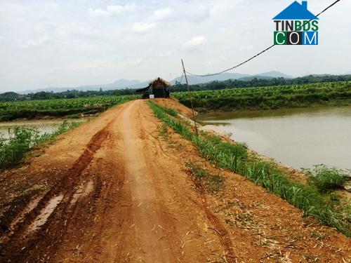 Hình ảnh Hoàng Cương, Phú Thọ