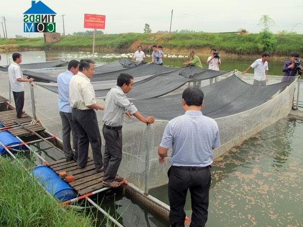 Hình ảnh Bình Tuyền, Phú Thọ