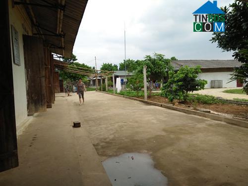 Hình ảnh Đại Đồng, Phú Thọ