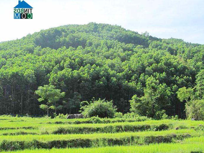 Hình ảnh Đan Thượng, Phú Thọ