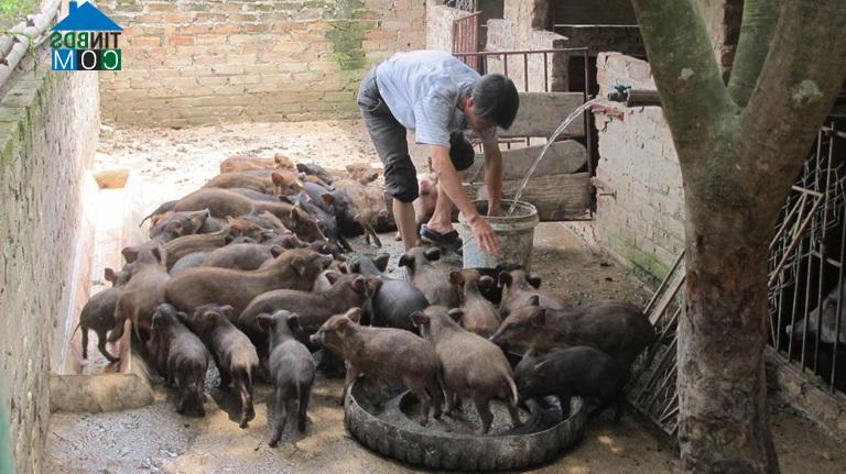 Hình ảnh Đạo Trù, Phú Thọ