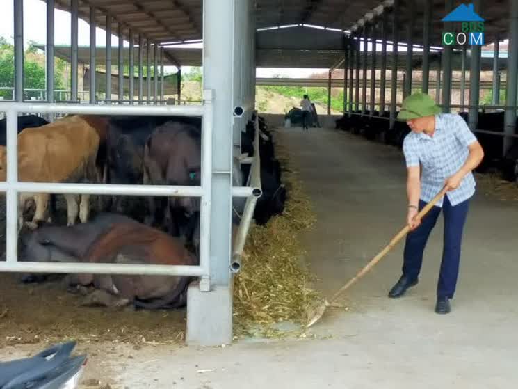 Hình ảnh Đoan Hùng, Phú Thọ