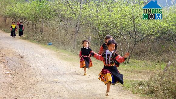 Hình ảnh Pà Cò, Phú Thọ