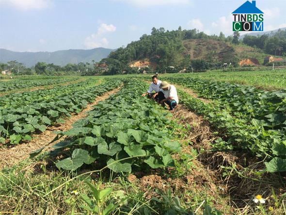 Hình ảnh Yên Sơn, Phú Thọ