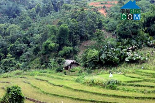 Hình ảnh Khả Cửu, Phú Thọ