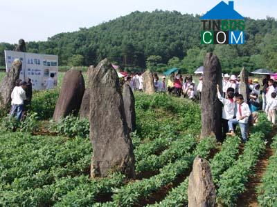 Hình ảnh Kim Bôi, Phú Thọ