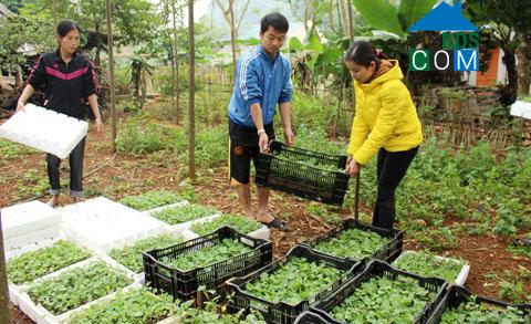 Hình ảnh Lạc Lương, Phú Thọ