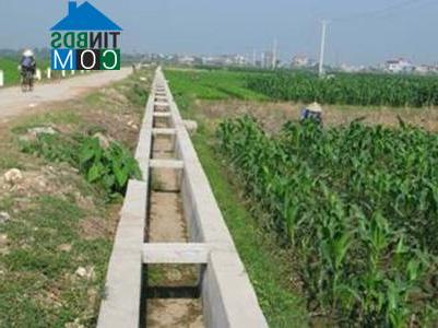 Hình ảnh Liên Châu, Phú Thọ