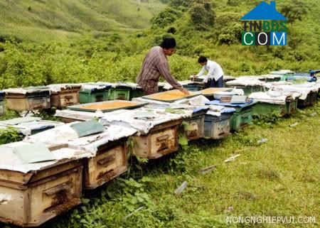 Hình ảnh Mường Động, Phú Thọ