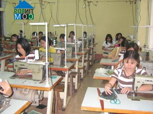 Hình ảnh Tam Dương Bắc, Phú Thọ