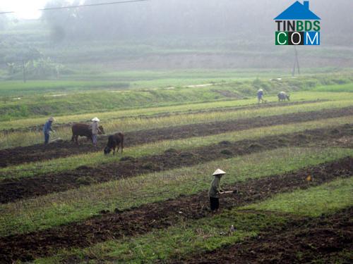 Hình ảnh Thanh Sơn, Phú Thọ