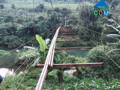 Hình ảnh Toàn Thắng, Phú Thọ