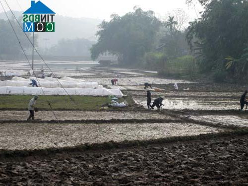 Hình ảnh Văn Lang, Phú Thọ