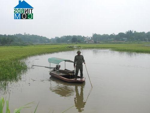 Hình ảnh Vĩnh Chân, Phú Thọ