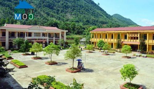 Hình ảnh Vĩnh Thành, Phú Thọ