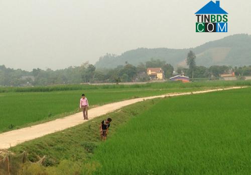 Hình ảnh Võ Miếu, Phú Thọ