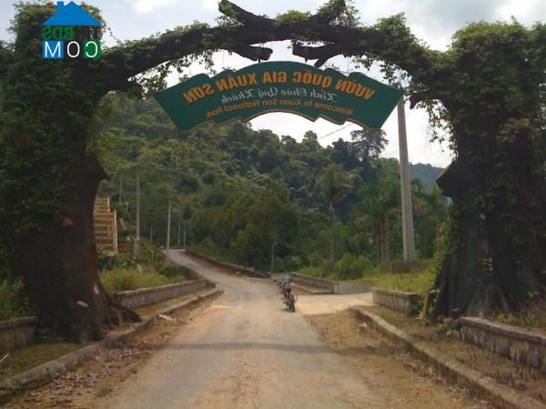 Hình ảnh Xuân Đài, Phú Thọ