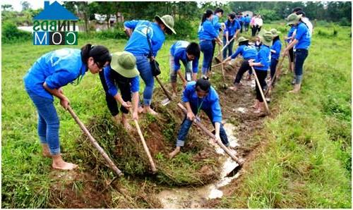 Hình ảnh Xuân Hòa, Phú Thọ