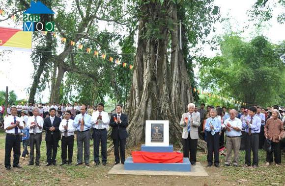Hình ảnh Xuân Viên, Phú Thọ
