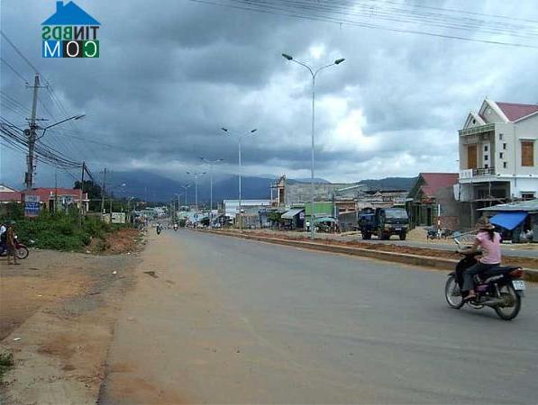 Hình ảnh Đăk Tô, Quảng Ngãi