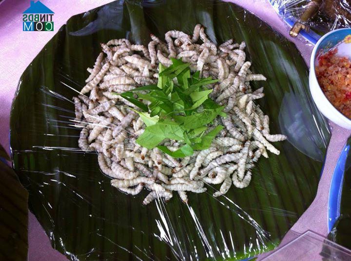 Hình ảnh Đăk Tờ Kan, Quảng Ngãi