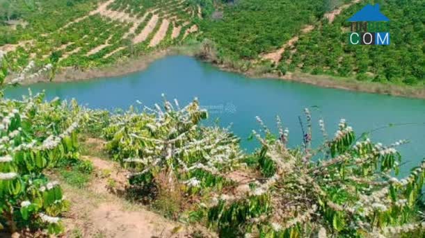 Hình ảnh Đăk Ui, Quảng Ngãi