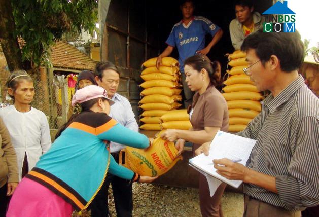 Hình ảnh Đình Cương, Quảng Ngãi