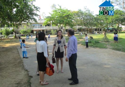 Hình ảnh Đông Trà Bồng, Quảng Ngãi