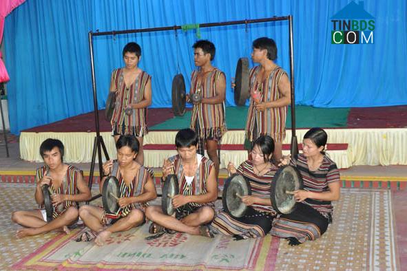 Hình ảnh Ba Tô, Quảng Ngãi