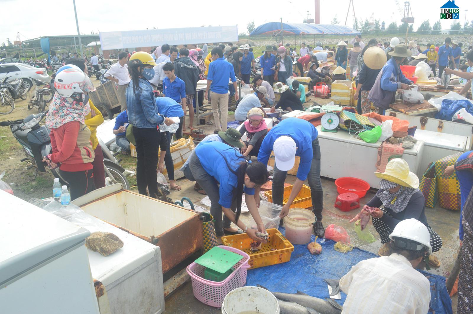 Hình ảnh Vạn Tường, Quảng Ngãi