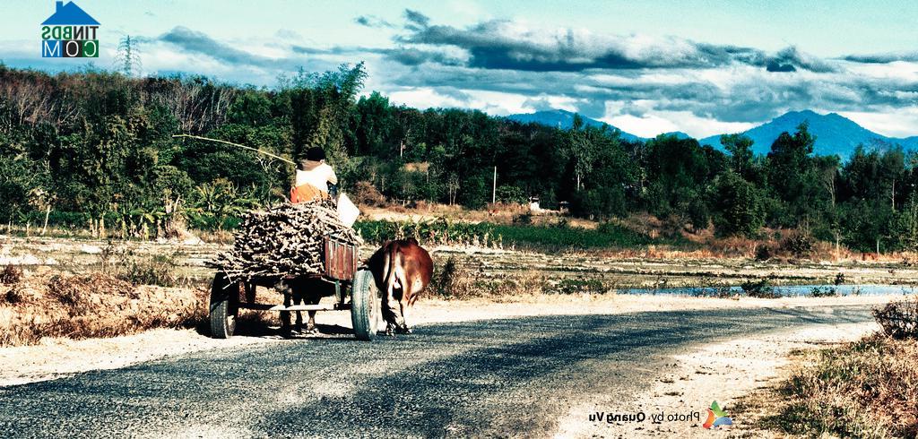 Hình ảnh Đăk Rơ Wa, Quảng Ngãi